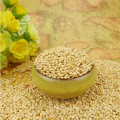 high quality white broom corn millet dry WELL POLISHED